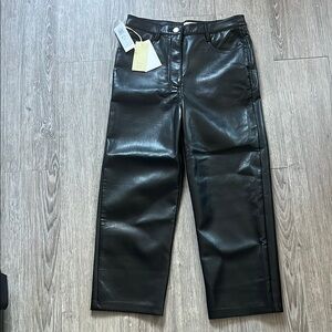 Aritzia Black Faux Leather Pants